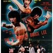 The Clones of Bruce Lee