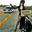 The Elvira Show