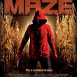 The Maze