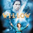 Willow