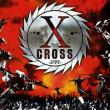 X-Cross