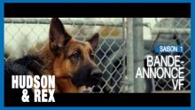 Hudson & Rex | Bande-annonce - Saison 1 (VF)