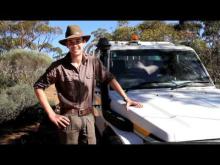 The Nullarbor Nymph Film Teaser Trailer