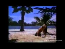 MTV Freddy Krueger Video Hour TV Spot- Summer 1988