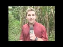 Historia dos Irmãos Necrófilos de Nova Friburgo