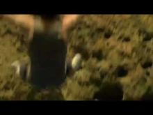 The Land That Time Forgot