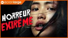 Le film le plus HARDCORE que vous verrez cette année (légers SPOILERS)
