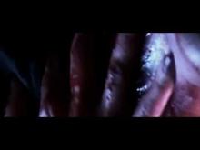 The Last House In the Woods (2006) (Trailer)