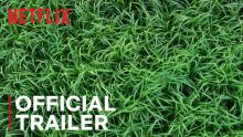 In the Tall Grass | Official Trailer | Netflix