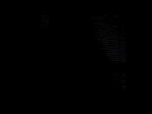 Abominable - Bigfoot Horror Movie