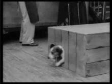 DR PLONK - Official Trailer