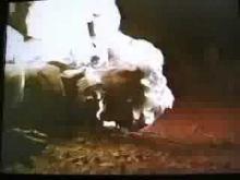 The VHS Show - ALIENATOR