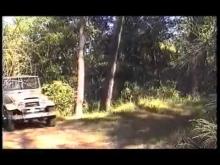 JURASSIC TRASH - TERROR OF PREHISTORIC BLOODY CREATURES FROM SPACE