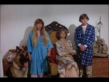 Awesomely Bad Movie (Devil Dog)