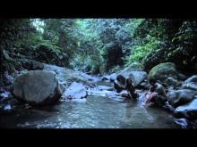 AE: APOCALYPSE EARTH TRAILER