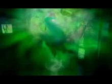 WITCHOUSE 2 movie trailer