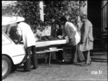 DEUX MILLIONS DE FUSILS