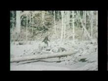 "Bigfoot County" - Official Trailer 2012 [HD]