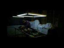 Exquisite Corpse Trailer (2010) Steve Sandvoss