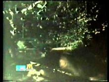 Hitlar - Sultan Rahi fights REAL bears