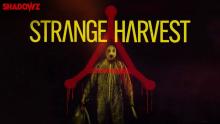 STRANGE HARVEST - trailer VOSTFR