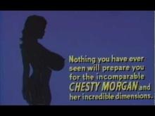 Double Agent 73 (1974) trailer