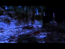 Snow White:  A Deadly Summer -  Trailer (HorrorBid.com)