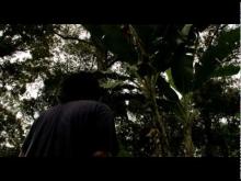 Sini Ada Hantu Trailer ( 10 February 2011)