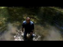 Silent Venom - How's the Mother