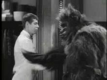 Bela Lugosi Meets a Brooklyn Gorilla (trailer)