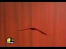 Julee Cruise - Falling