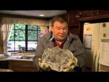 Weird or What - Season 01, Episode 01 (Full Episode)