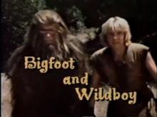 Bigfoot and Wildboy Theme (Intro & Outro)