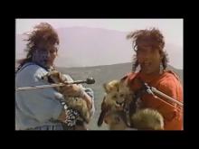 I'm a Wild One (The Barbarian Brothers, feat. Michael Sembello -1987)