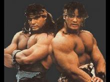 The Barbarian Brothers