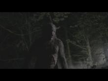 Scream of the Wolf (2023) - Trailer