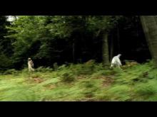 "Adelle." Official Full Length Trailer (alice in oz) (pony cart ride into hell) 2009