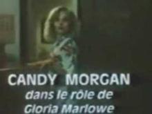 GENERIQUE FRANCK CHASSEUR DE FAUVES