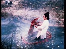 The Battle Wizard 天龍八部 (1977) **Official Trailer** by Shaw Brothers