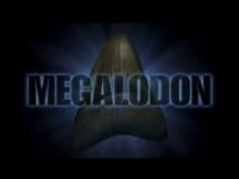 Megalodon (Trailer)