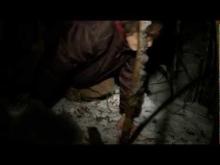 REPORT 51 - Official trailer HD (Italian Subtitles)