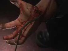 Snakes On A Train Trailer