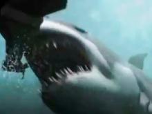 2 Headed Shark Attack (2012) - Official Trailer