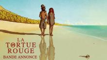LA TORTUE ROUGE - Bande-annonce - Un film de Michael Dudok de Wit