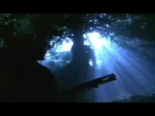 Legend of the bog Trailer