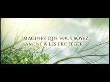 Les Chroniques de Spiderwick - bande annonce