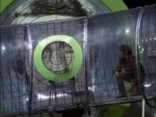 Le Jeu des Millions (Das Millionenspiel - 1970) -Vost anglais-