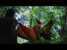 The One Warrior Trailer