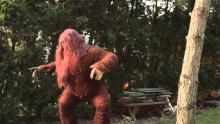 Sexsquatch: The Legend of Blood Stool Creek Movie Trailer