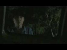 DEADLY STINGERS movie trailer